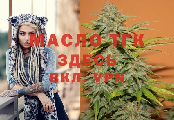 гидра Алексеевка