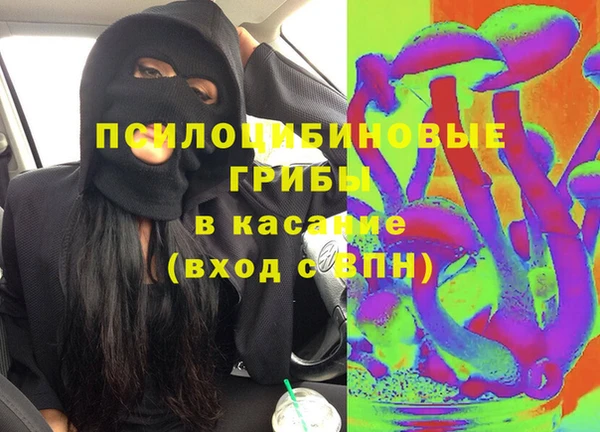 гидра Алексеевка